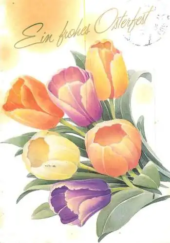 Easter greetings  colourful tulips bouquet
