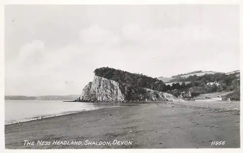United Kingdom England Shaldon the Ness Headlands