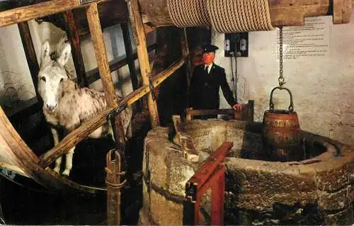 England Carisbrooke Castle I.O.W Donkey in the wheel