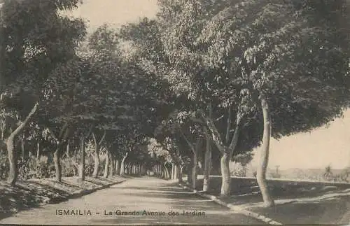Egypt Ismailia la Grande avenue des jardins
