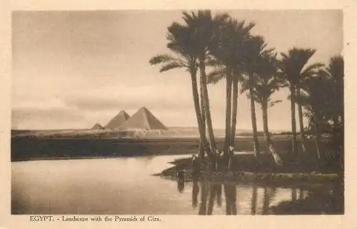 Egypt Pyramids landscape oasys