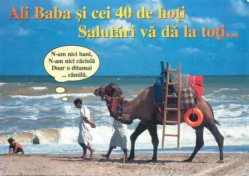 Humorous Postcard Animals Camel Smile Collection