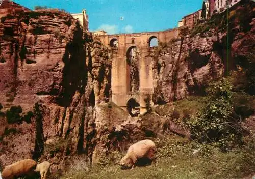 Spain Ronda Malaga Tajo & Puente Nuevo
