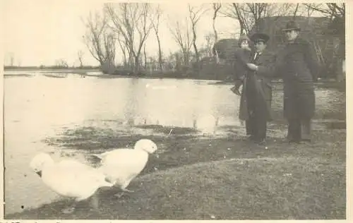 Social history instant photograph postcard men watching ducks