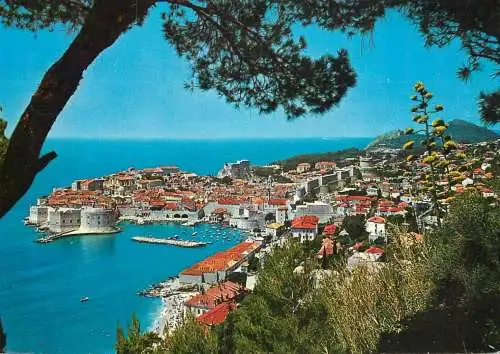 Croatia Dubrovnik