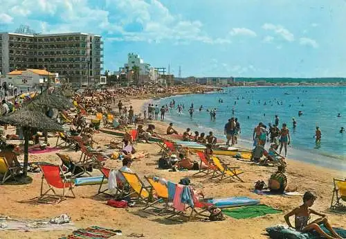 Spain Mallorca Palm Ca'n Pastilla