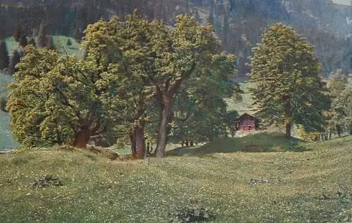 Germany mountain landscape and chalet