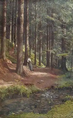 Germany forest landscape and creek