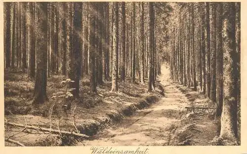 Germany forest scene Waldeinsamheit
