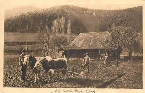 Germany agriculture scene