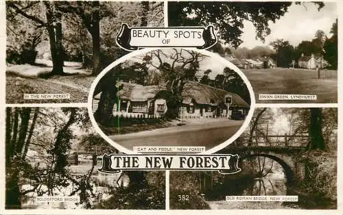 United Kingdom England New Forest