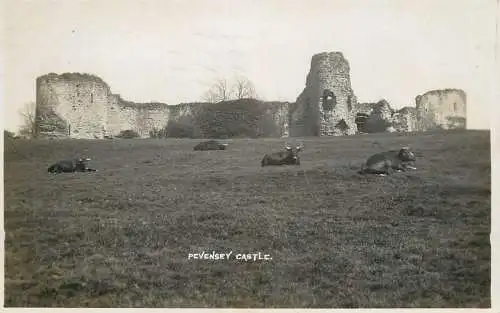 United Kingdom England Pevensey castle