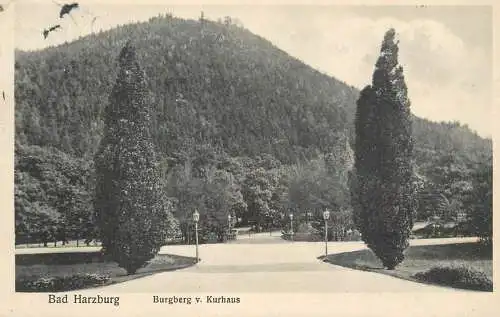 Germany Bad Harzburg Burgberg