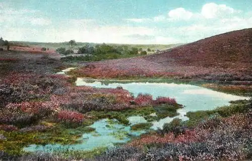 Germany Luneburger Heide das Busenbachtal