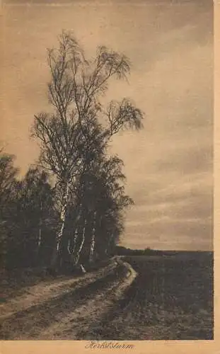 Germany Herlsturm forest landscape