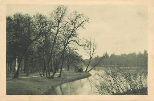 Germany forest lake landscape