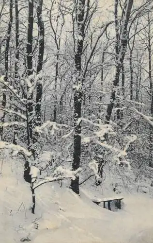 Germany Essen Ruhr der Stadtwald im winter