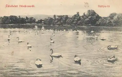 Hungary udvozlet Tovarosrol Hattyu to