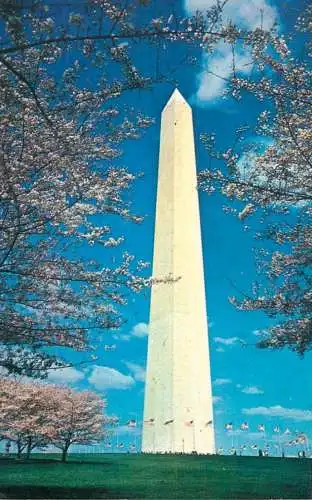 United States Washington DC Washington monument