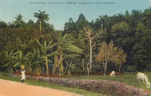 France Guadelupa Moule Grande Terre