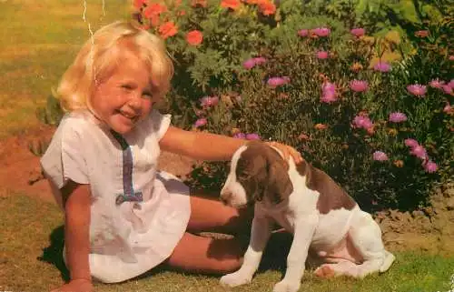 Animal postcard dog puppy