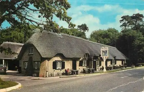 United Kingdom England New Forest cat and fiddle inn