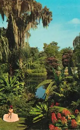 USA Florida Cypress Gardens