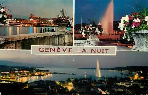 Switzerland Geneve vue de nuit multi view
