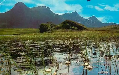 Scotland Sutherland Ben Loyal near Tongue