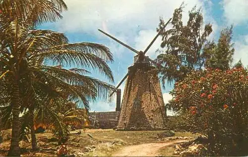 Barbados old sugar mill at Morgan Lewis