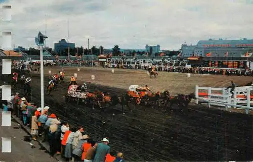 Canada Calgary the Chuckwagon races 1987