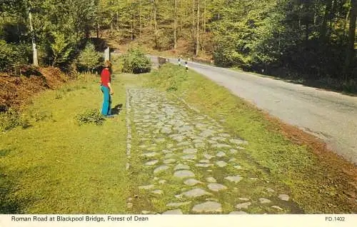 United Kingdom England forest of Dean Blackpool bridge