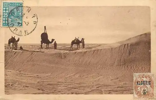 Algerie camels and bedouins sand dunes