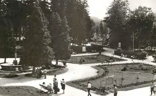 Romania Borsec parc