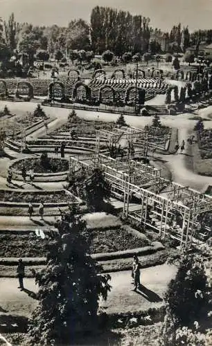 Romania Timisoara parc Stefan Plavat