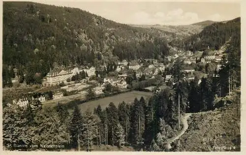 Germany St Blasien vom Weissenstein