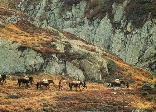 Switzerland Mulattieri San Gottardo