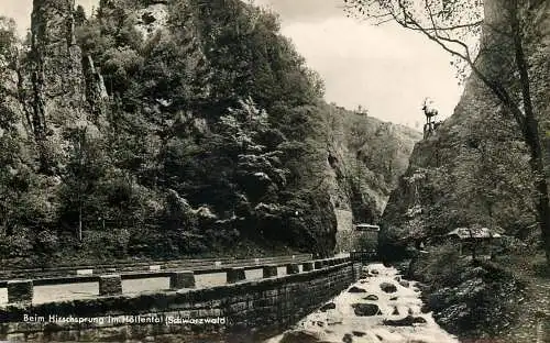 Germany Beim Hirschsprung im Hollental Schwarzwald