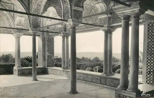 Postcard Africa Tunisia Kouba du Belvedere