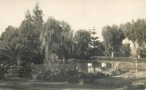 Postcard Africa Morocco Port Lyautey jardin public