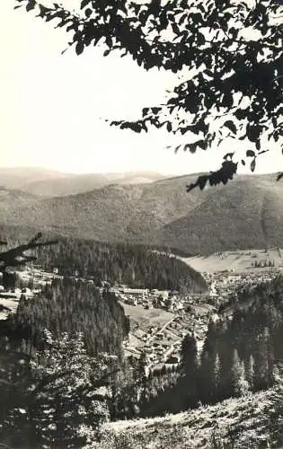 Postcard Romania Borsec panorama