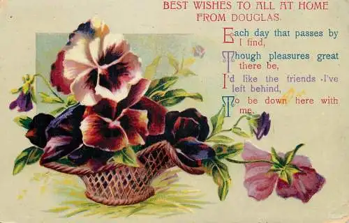 Postcard flower basket purple and pink Douglas