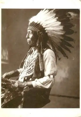 Postcard Native Americans Wild Horse Sunk Watogla Oglala Sioux chief