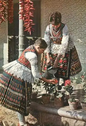 Postcard traditional costume Hungary Sioagard