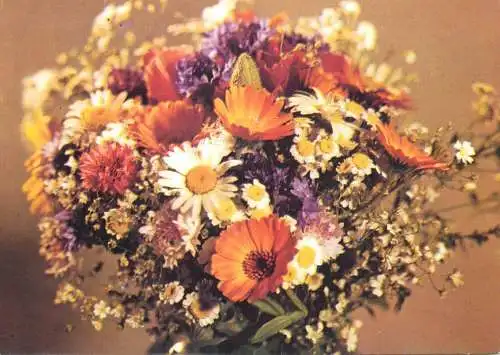 Flowers postcard Romania field flowers bouquet