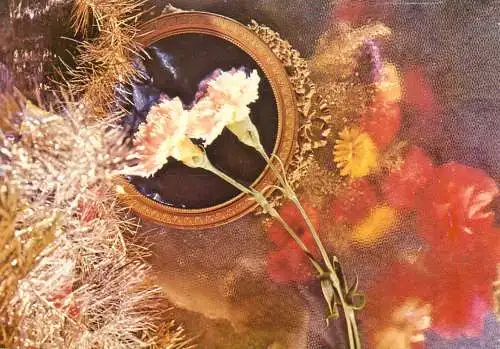 Flowers postcard Romania field flower Hedy Loffler