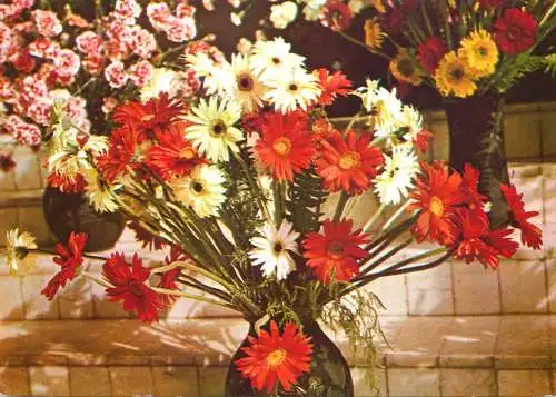 Flowers postcard Romania flower vase bouquet