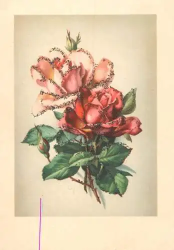 Holiday postcard flower scene