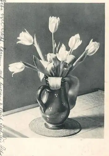 Holiday postcard flower tulip vase