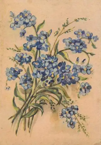Holiday postcard flowers and plants